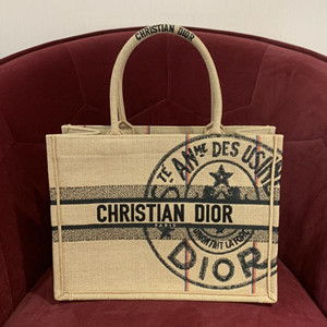 dior medium book tote bag