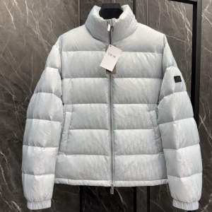 dior oblique down jacket