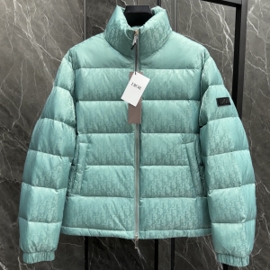 dior oblique down jacket